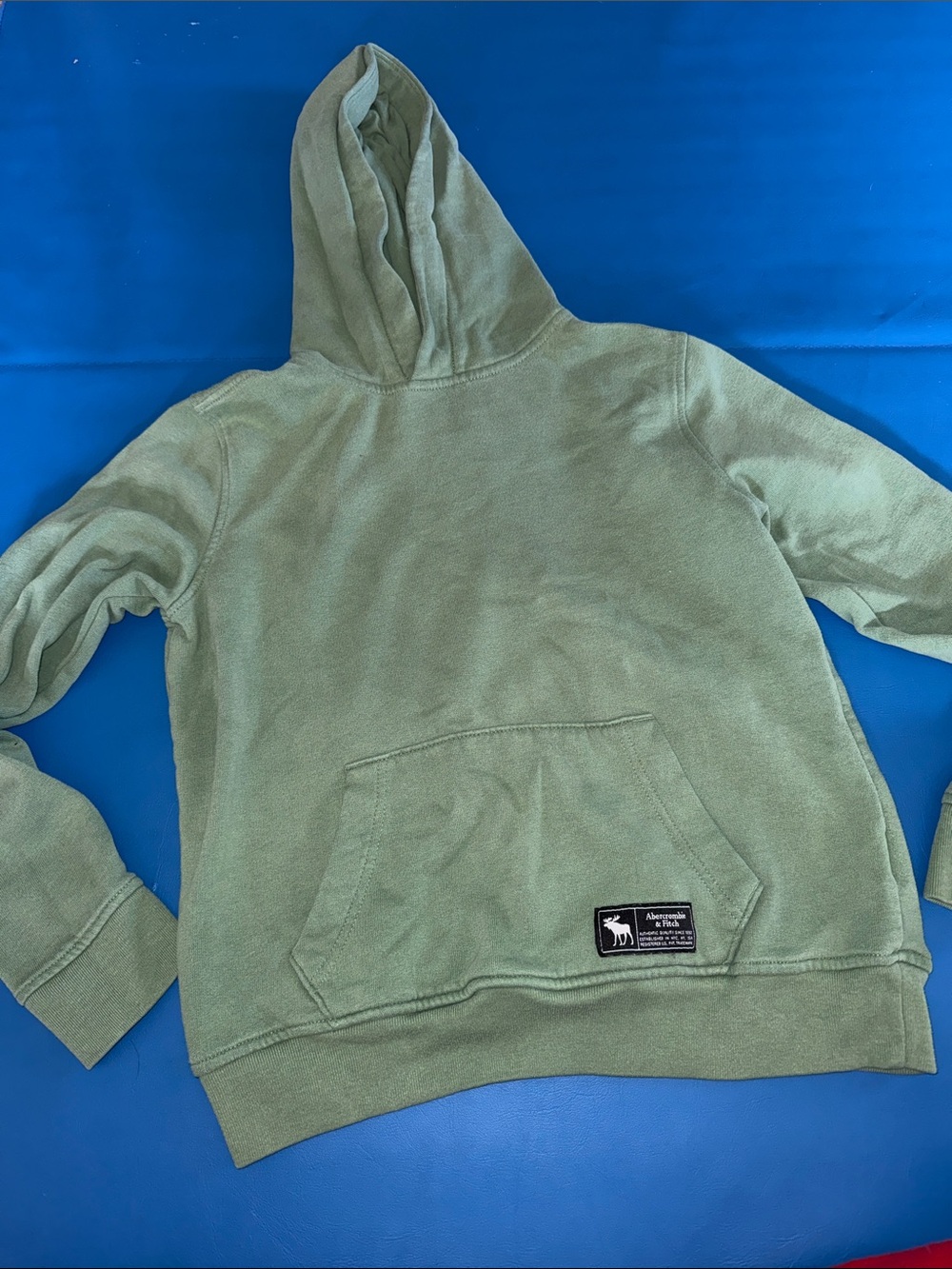 abercrombie kids Olive Green Hoodie Sweatshirt
